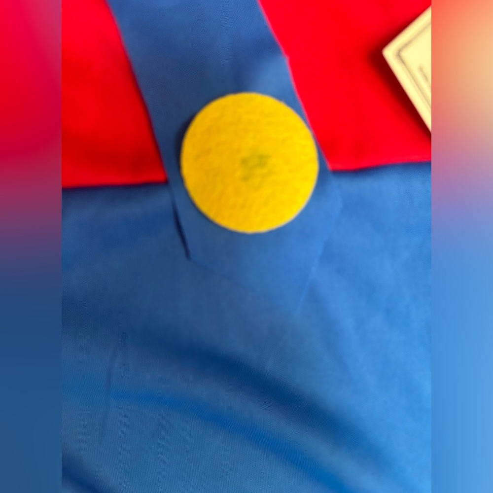 Mario Kids Plumber Superhero Cosplay Costume Set in Red and Blue Boys L (10) - Picture 9 of 15